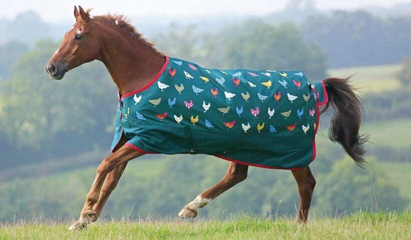 pony blankets