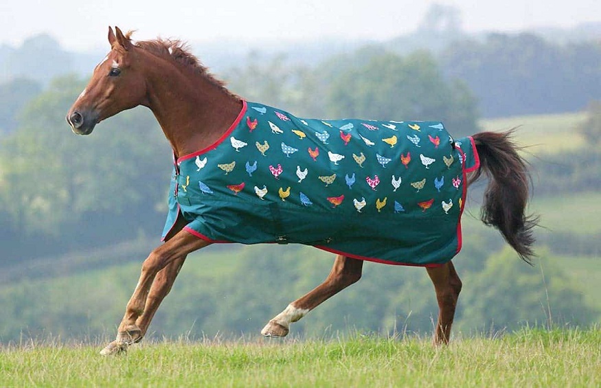 pony blankets